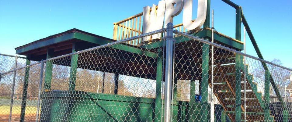 Galvanized Steel Chain Link Fence Color Option