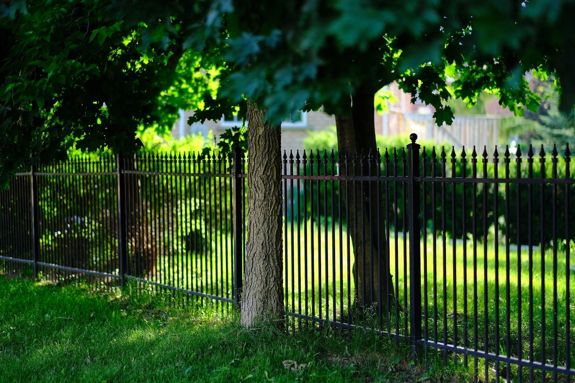 A metal fence passing through a garden with trees.