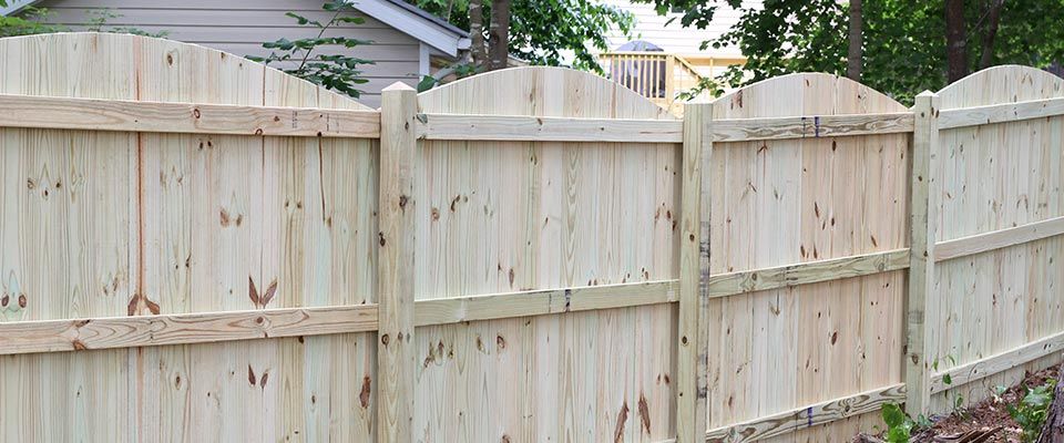 backyard fencing for dogs whats my best option