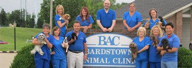 BAC Animal Clinic about our doctor