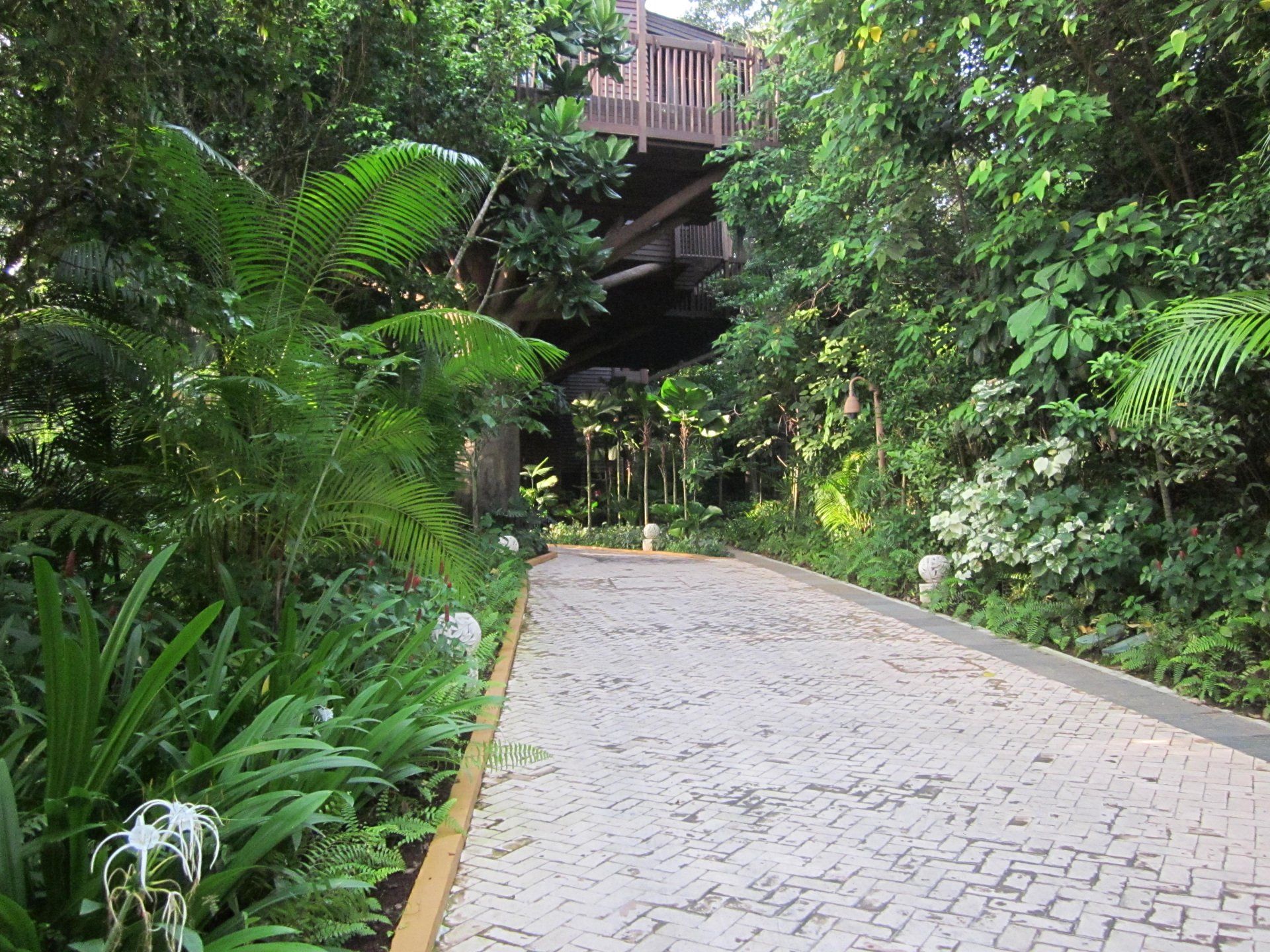 Tree Top Lofts, Resorts World Sentosa Reforestation work