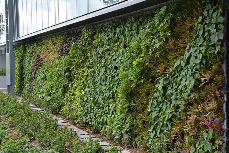 Genting Hotel - Proprietary Modular Greenwall Panel System