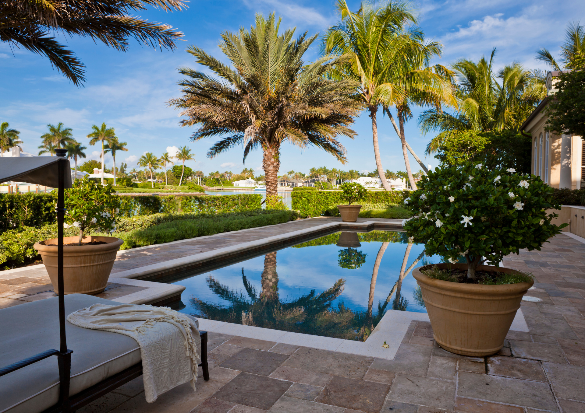 A large swimming pool with palm trees in the background