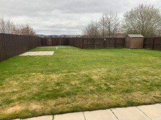 A large lawn with a wooden fence and a shed in the backyard.