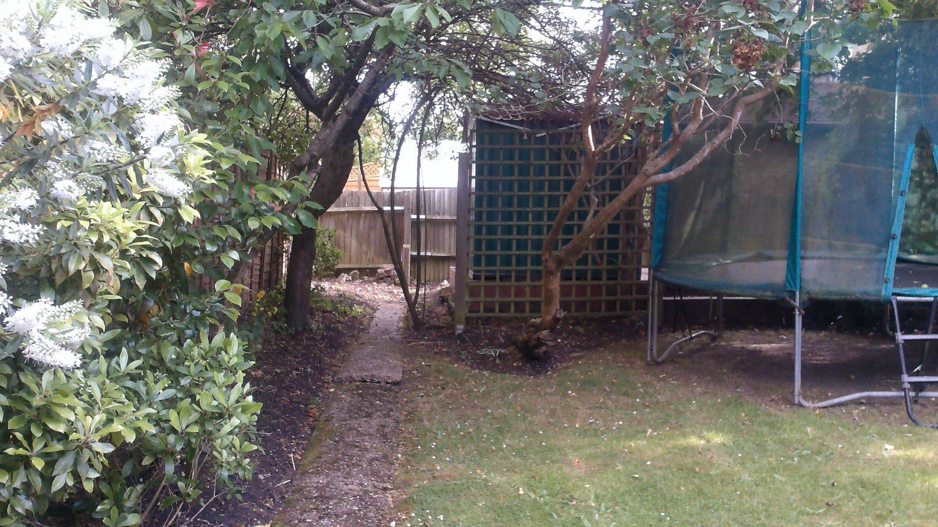 A trampoline is sitting in the middle of a backyard surrounded by trees.