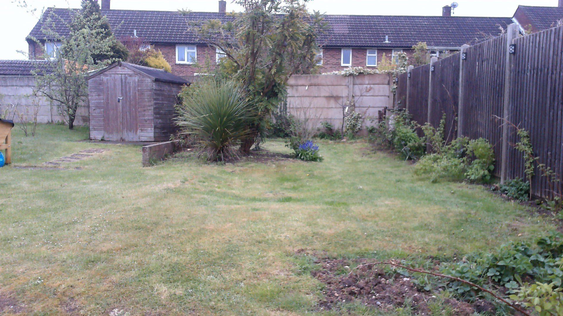 A backyard with a wooden fence and a shed.