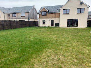 A large lawn in front of a house with a wooden fence.