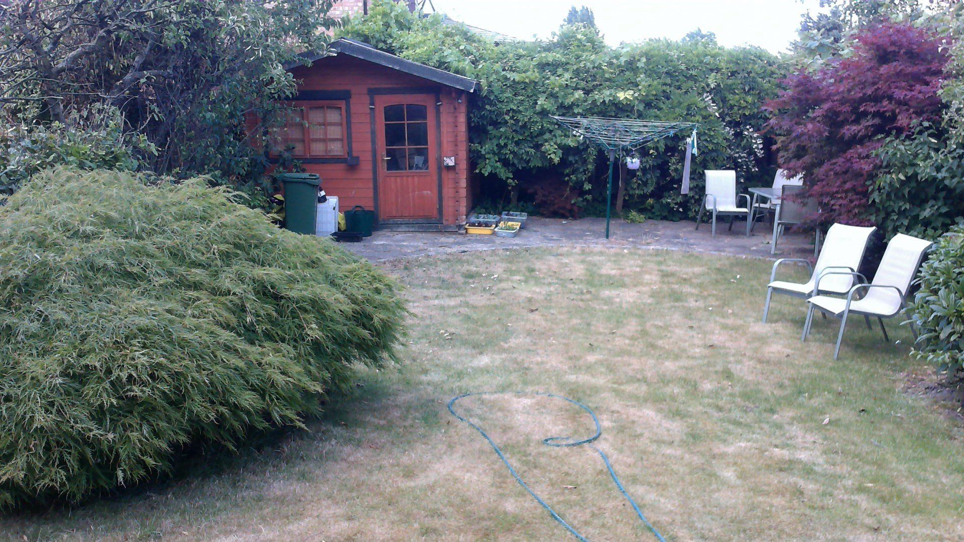 A backyard with a shed , chairs and a hose.