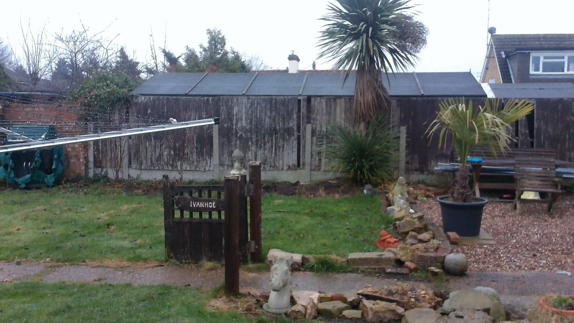 A garden with a fence and a palm tree in the background.