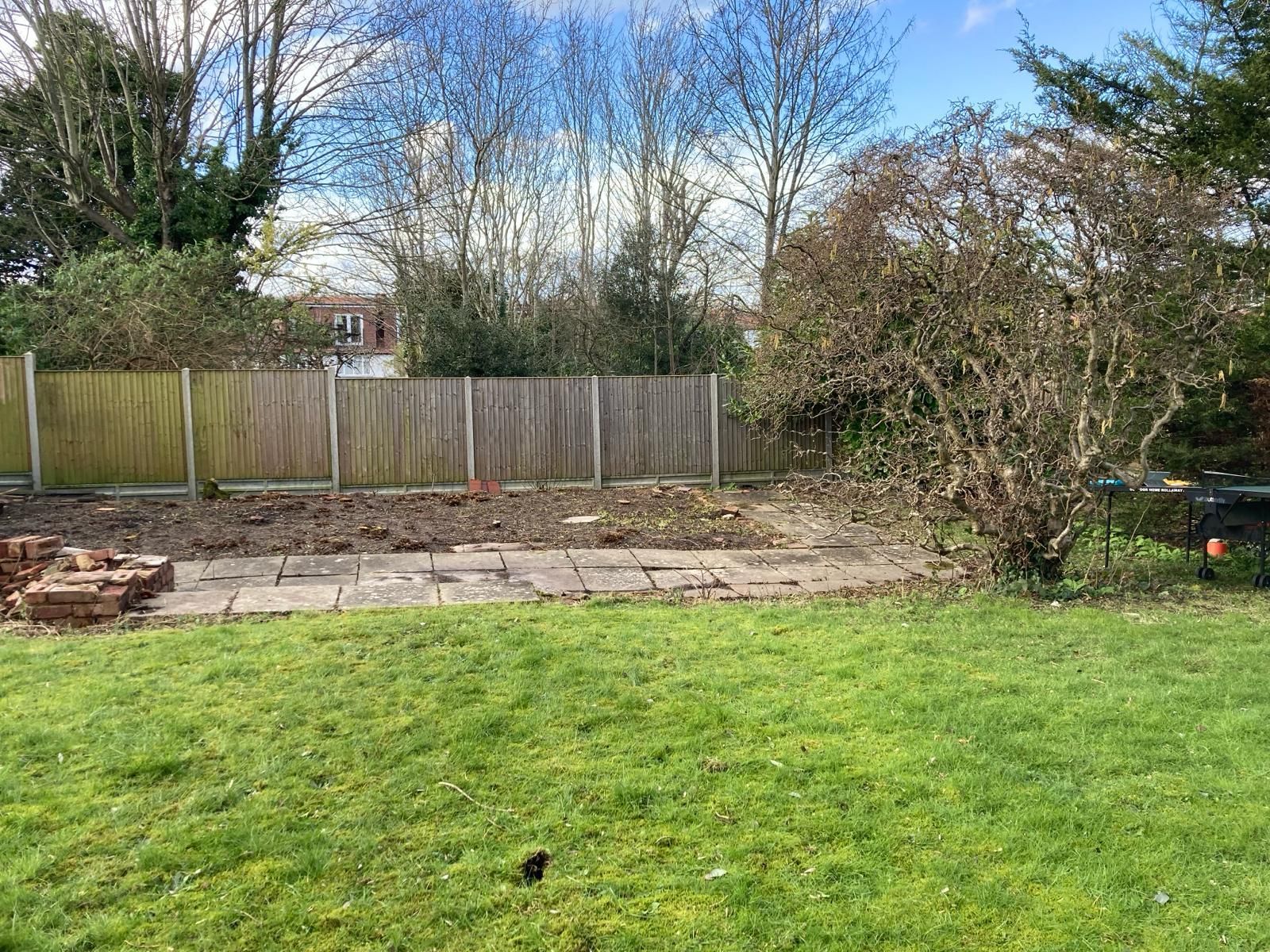 A large lawn with a wooden fence and trees in the background.