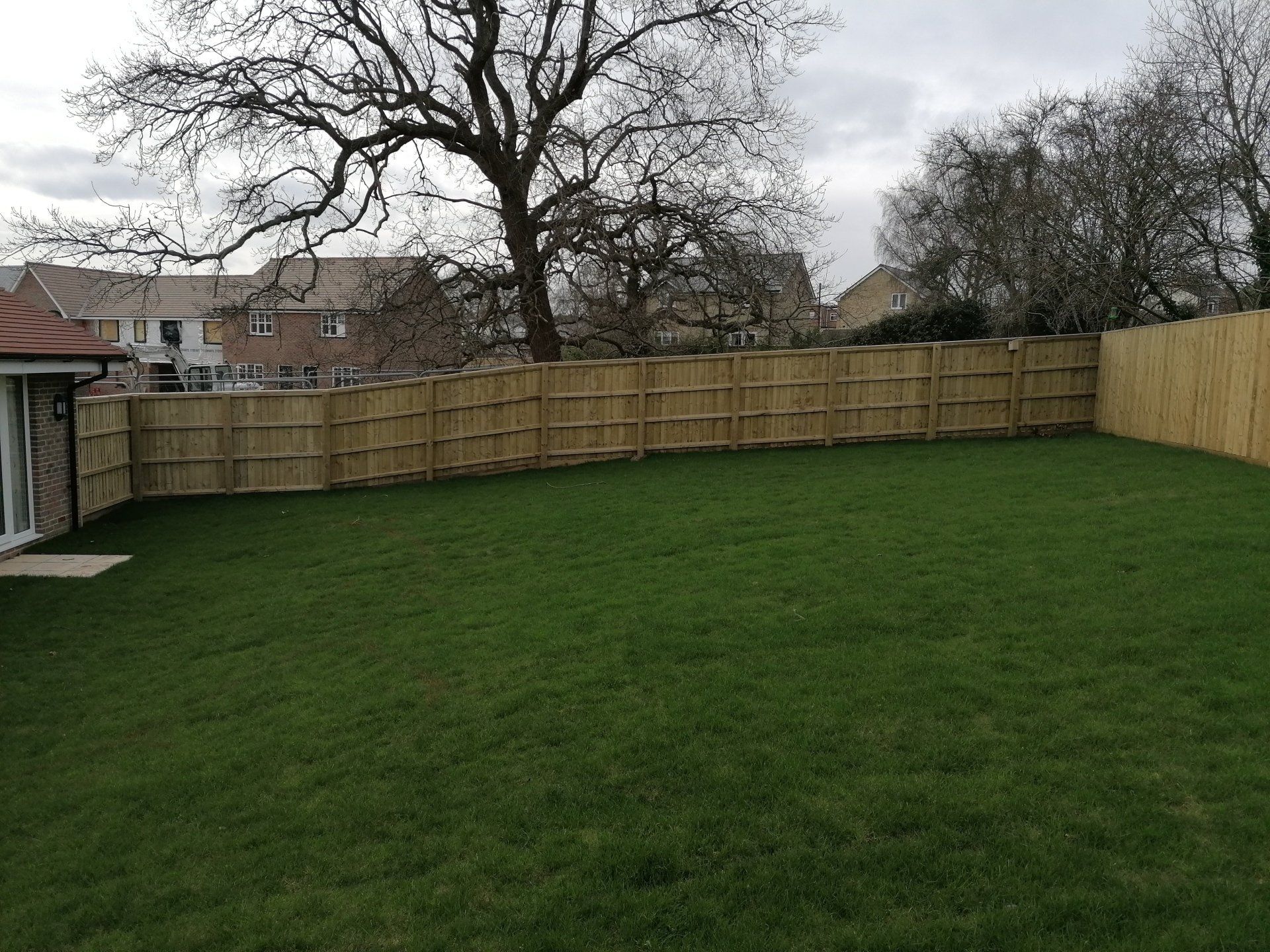 A large backyard with a wooden fence and a lush green lawn.