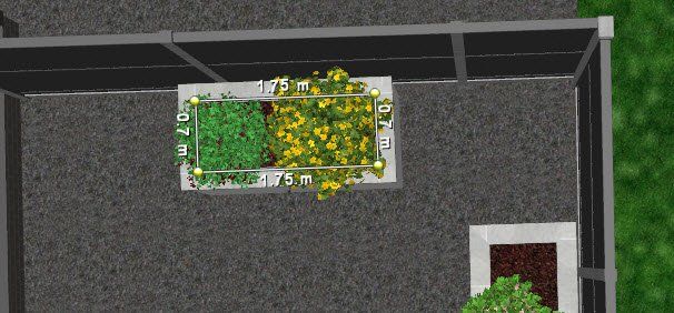 An aerial view of a rooftop garden with flowers and plants.