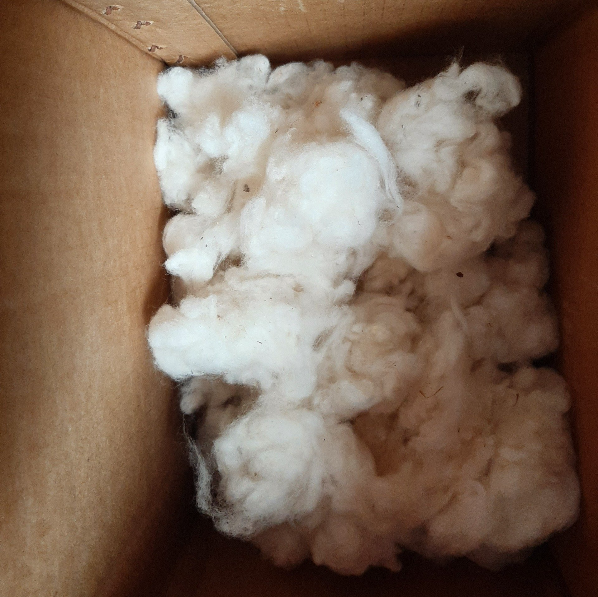 Sample Cotton Lint From Mishkan Farms Tester Site