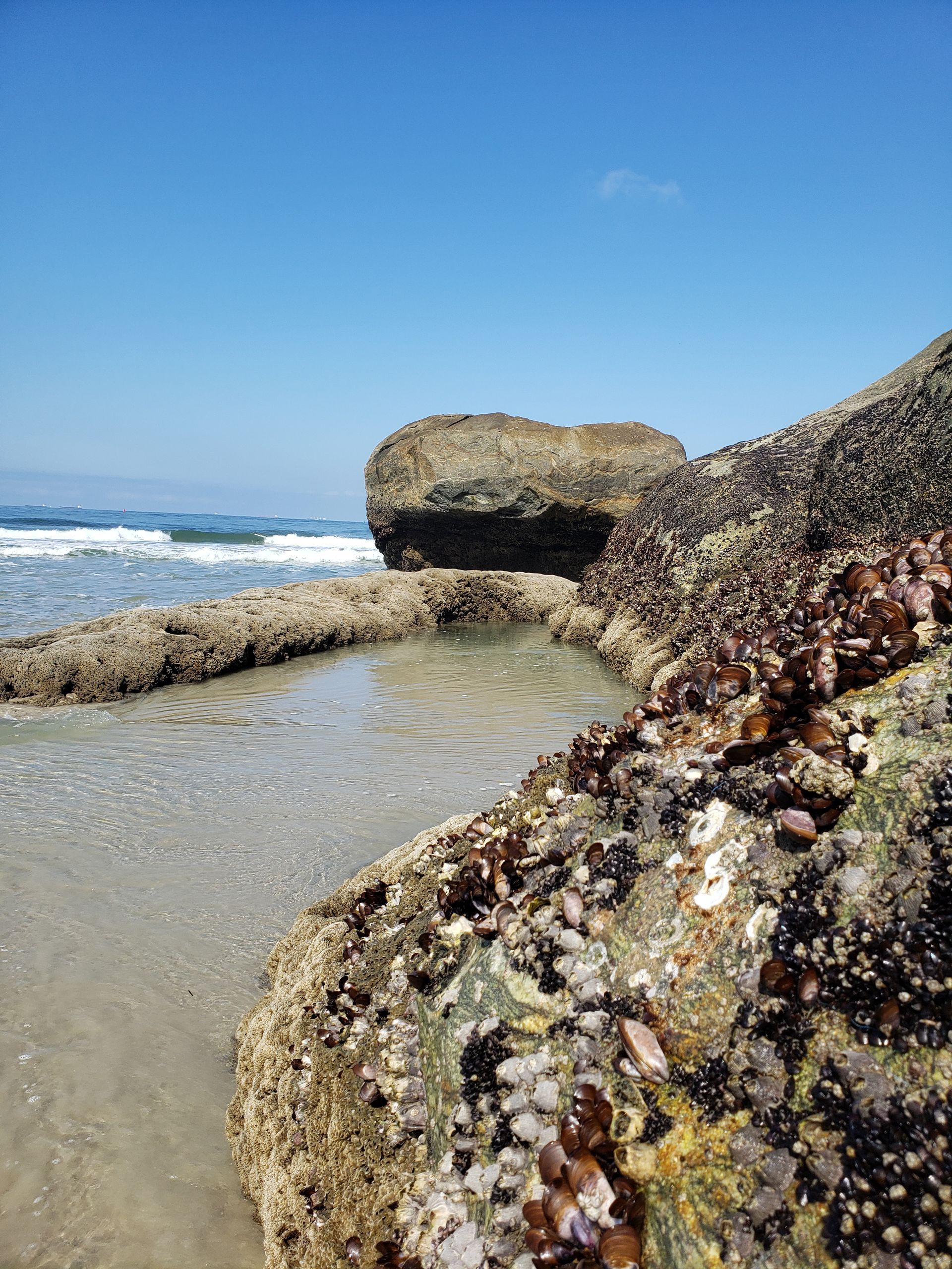 Uma grande rocha situada no topo de uma praia rochosa próxima ao oceano.