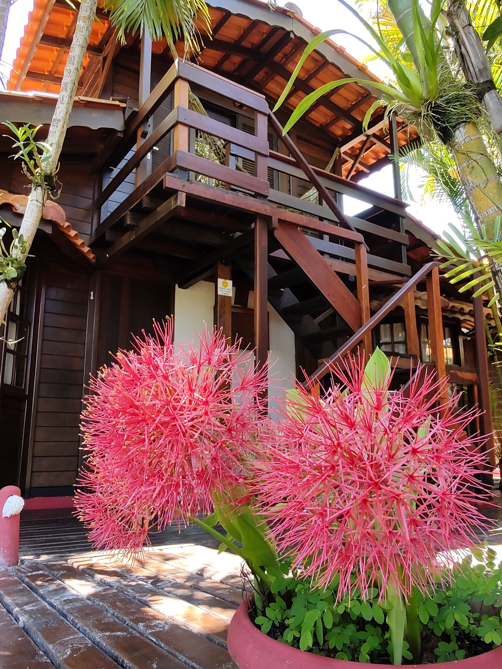 Uma casa com flores rosas na frente