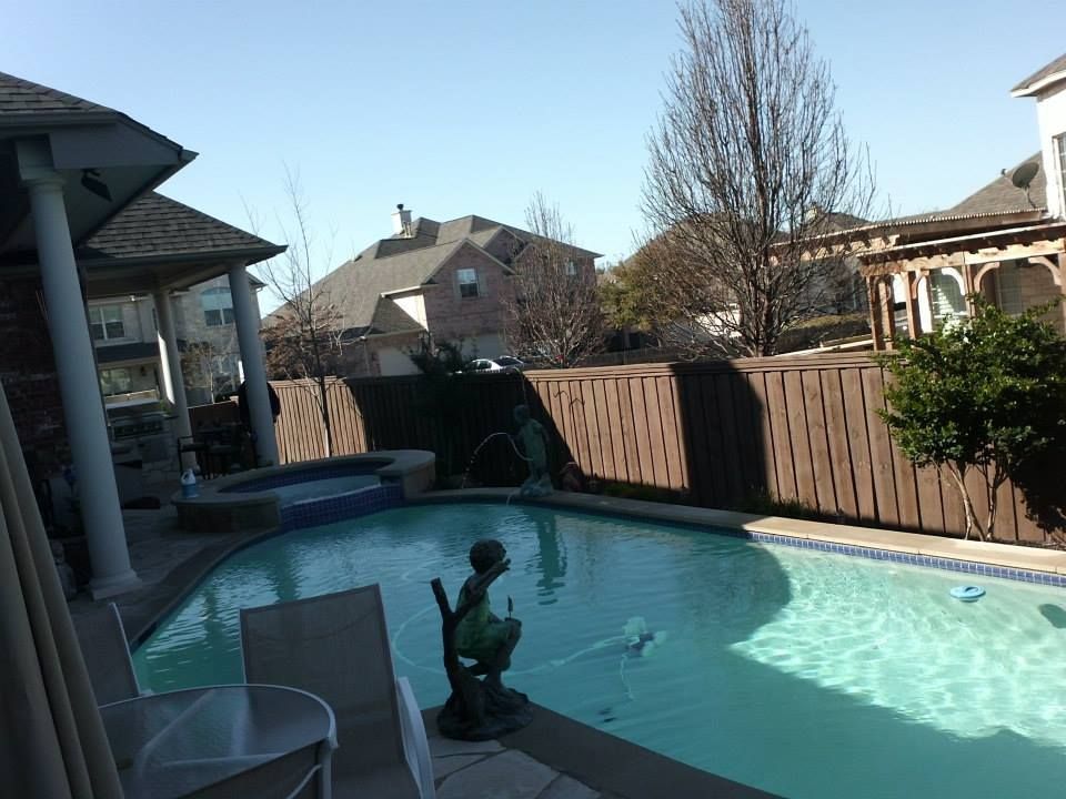 Backyard swimming pool with a small statue and patio beside a wooden fence under a clear sky