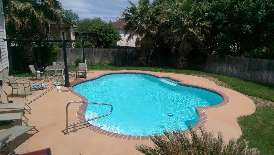 Backyard swimming pool with blue water, tan deck, lounge chairs, and palm trees