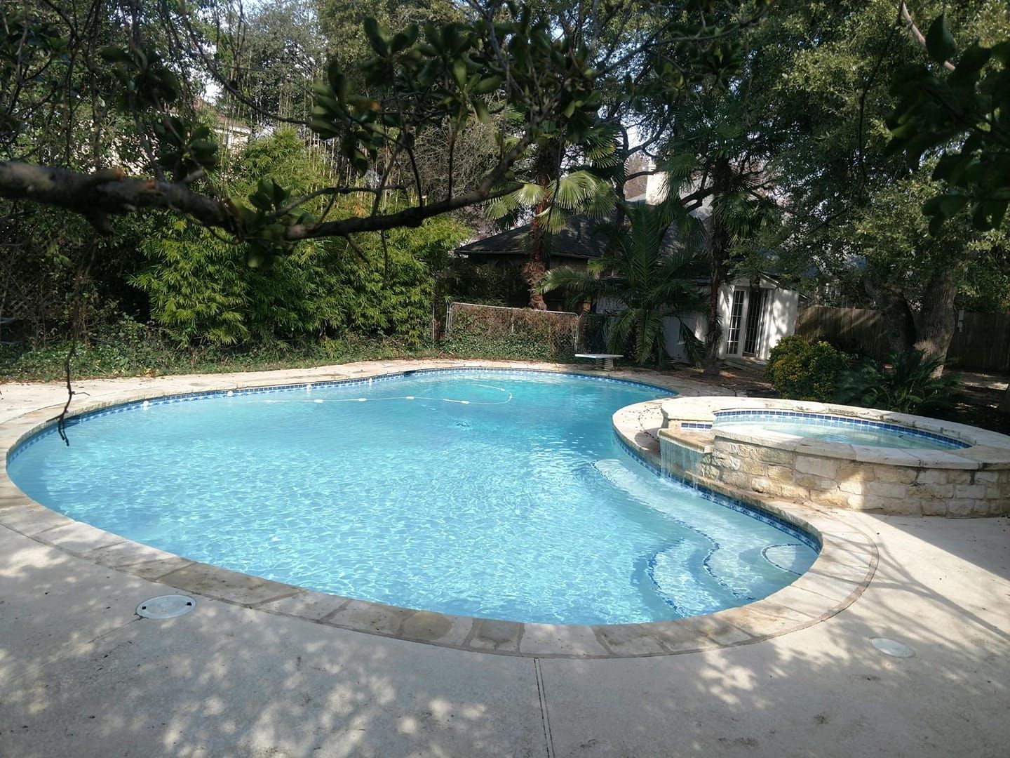 Backyard pool with a hot tub, surrounded by trees and greenery