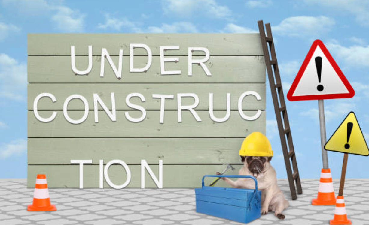A pug dog is sitting in front of a sign that says under construction