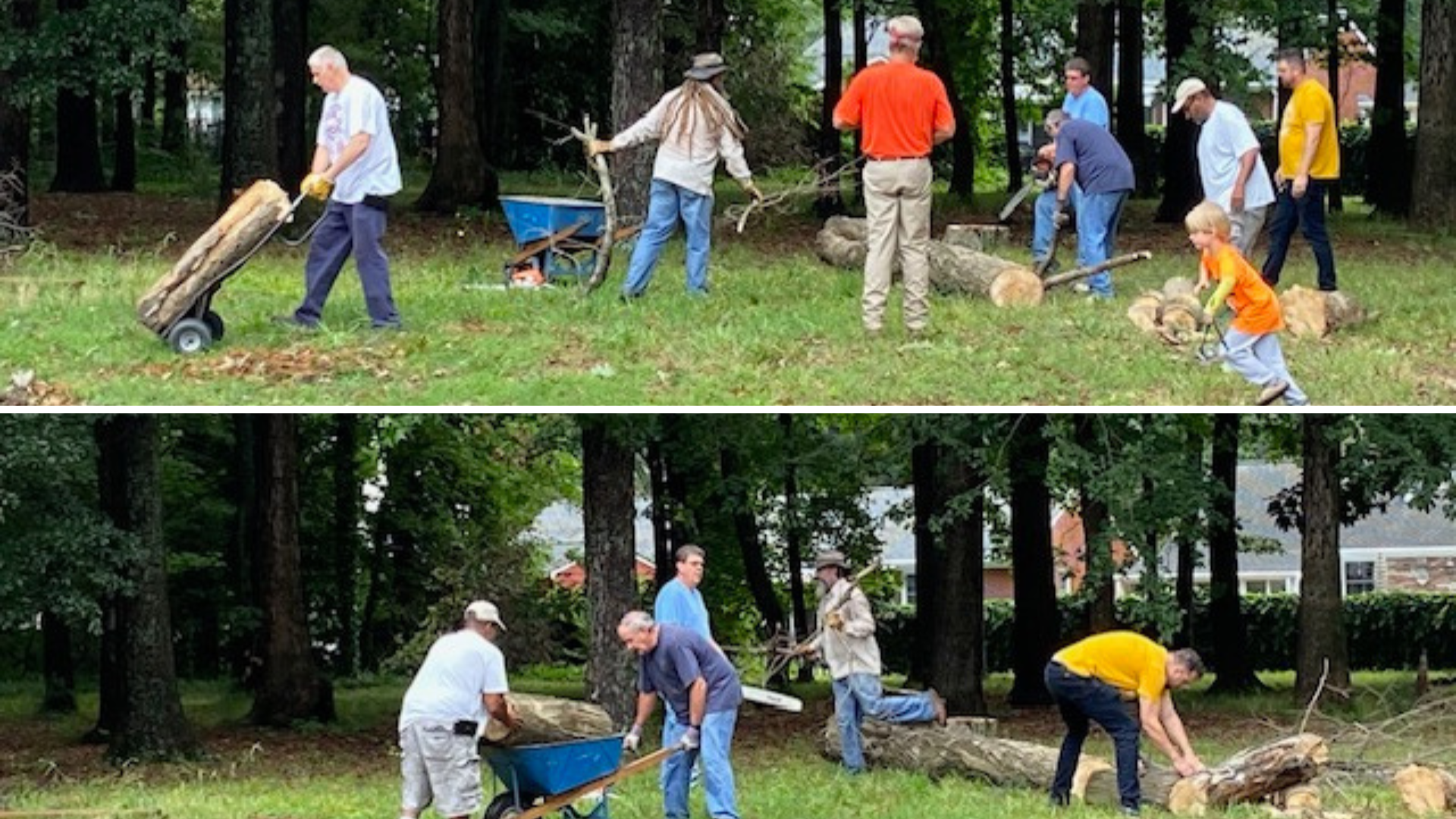 A group of people are working in a park.
