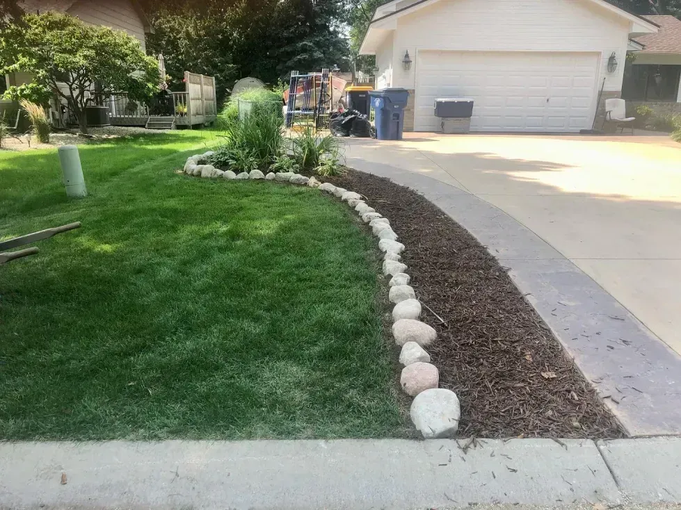 Lush green lawn with a curved brown mulch bed, bordered by white rocks and a concrete driveway. A house is in the background.