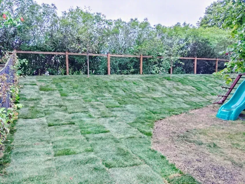 A backyard with new sod on a small hill, a fence, and a children's slide.