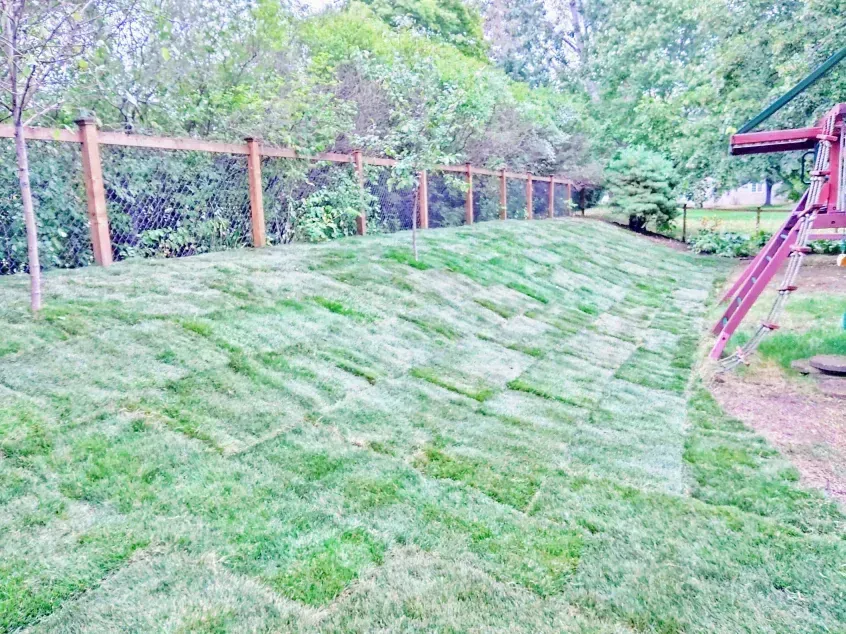 Freshly laid sod on a sloped backyard, leading to a wooden fence and trees.