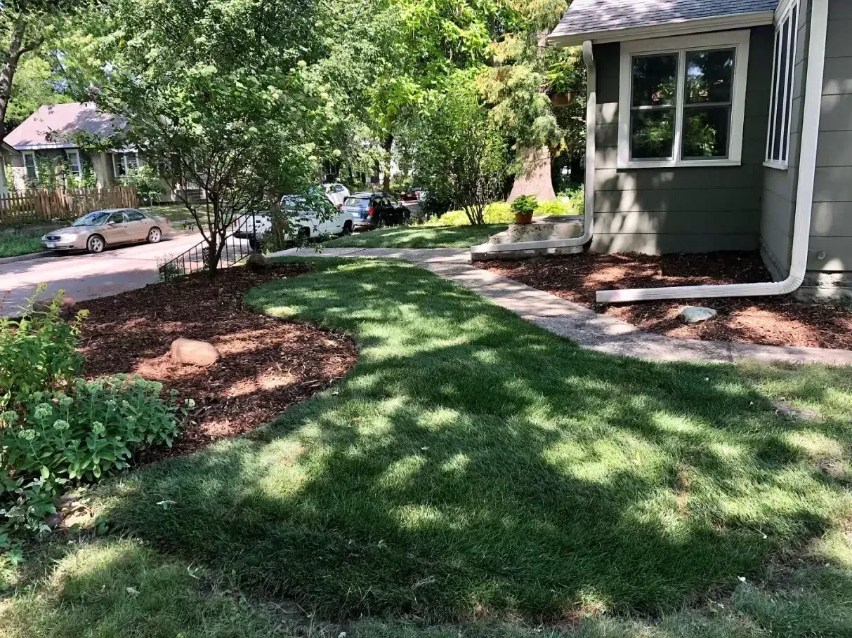 Lawn and garden in front of a house. Green grass and a path lead to the front door. Mulched beds with shrubs.