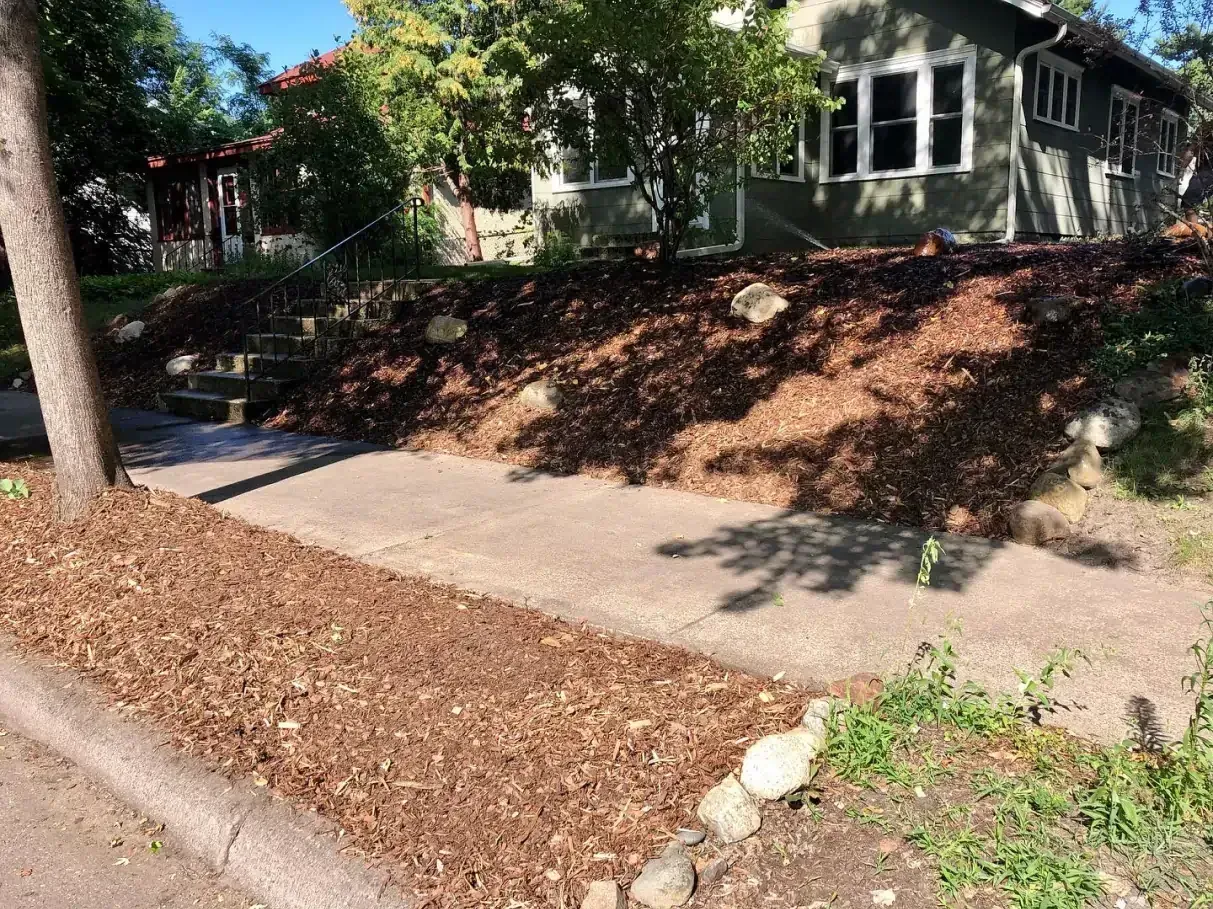 Sidewalk next to a sloped yard covered in brown mulch, leading to a house with a green exterior.