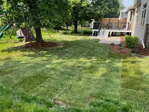Green lawn in a backyard with a deck, a play structure, and a tree. The deck is attached to a beige house.