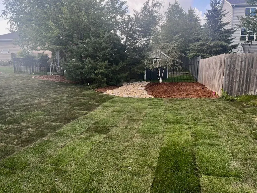A backyard with patchy green grass, a brown mulch area, and a small playhouse against trees and a fence.