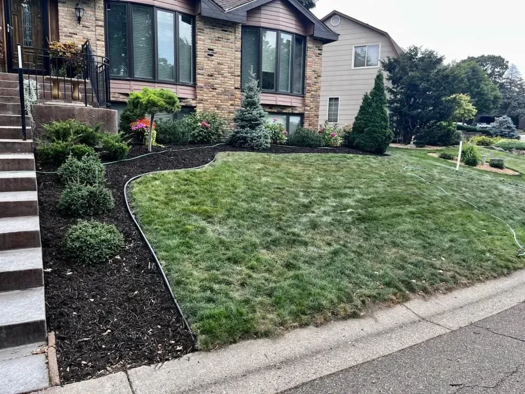 A house with a lawn edged by mulch and landscaping. The lawn is green with some brown spots, and the sky is overcast.