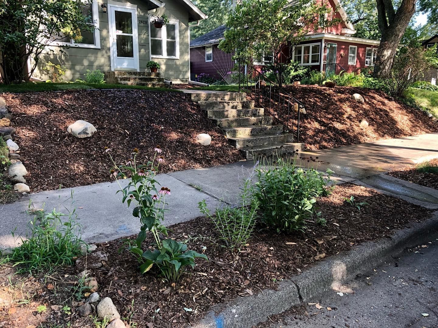 A residential yard with a sidewalk, flower beds, and steps up to a house. Brown mulch covers the raised beds.