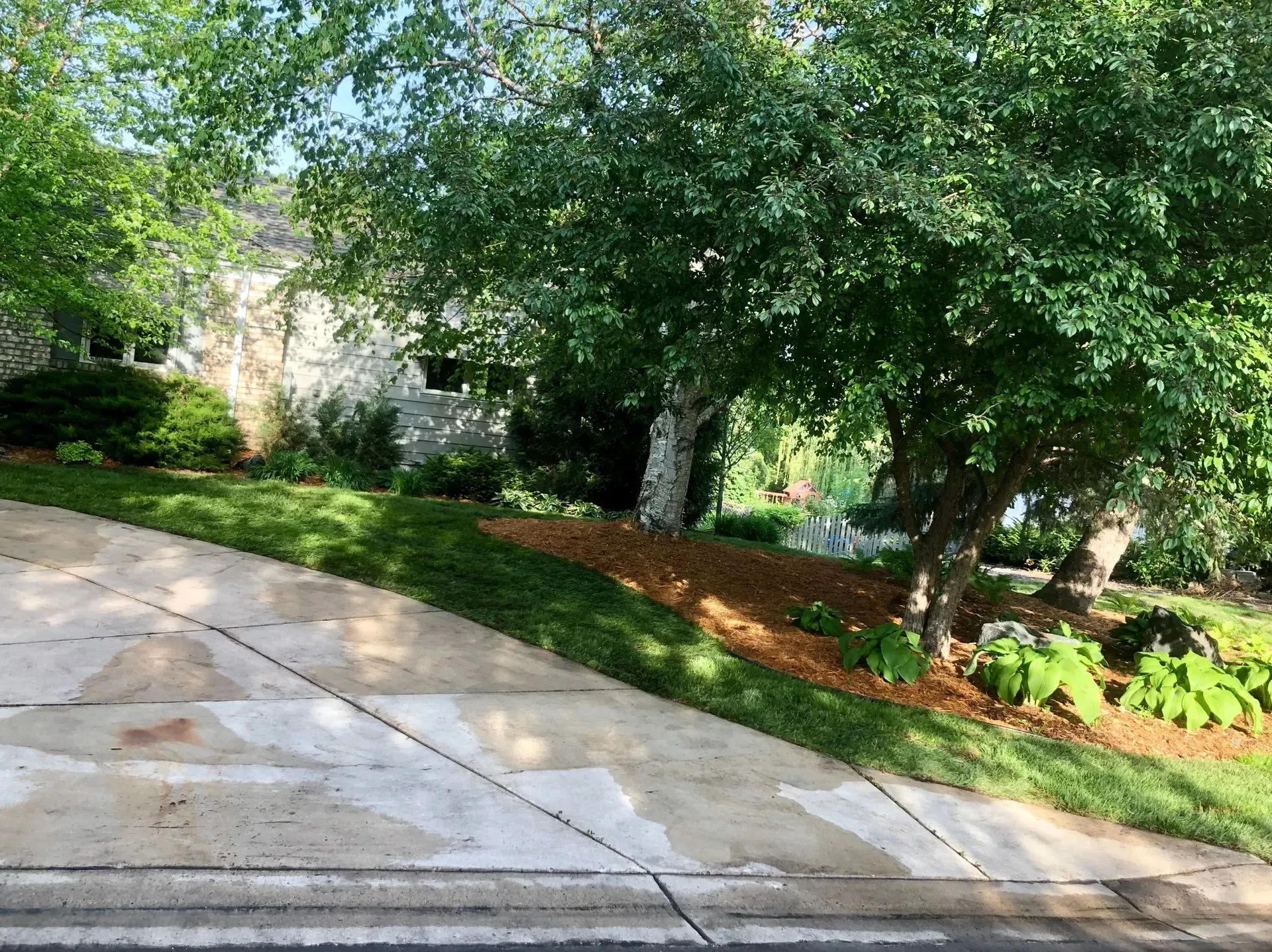 Sloped driveway leading to a house partly obscured by green trees; lawn with wood mulch ground cover.