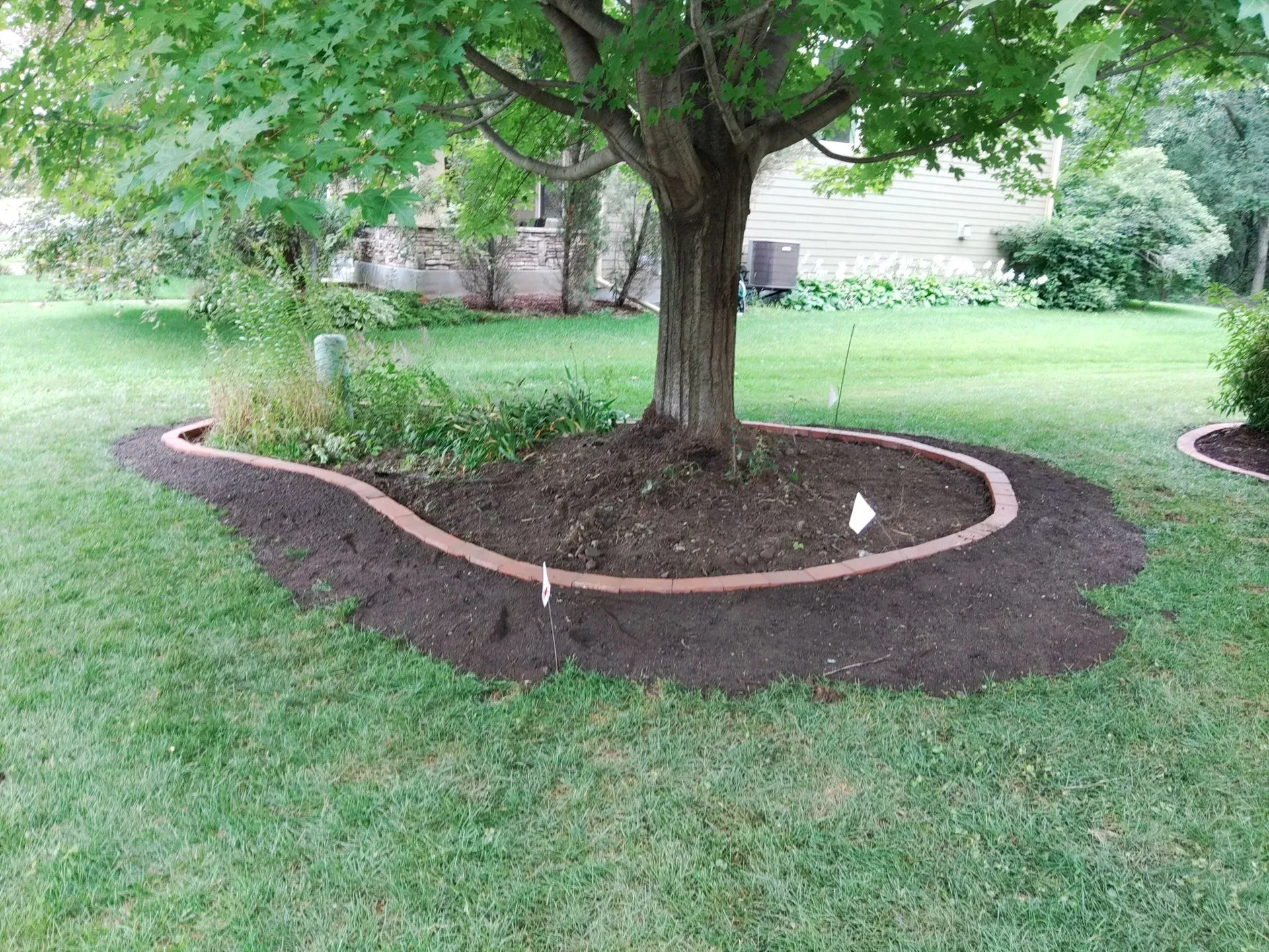 A tree with a mulched bed around its base, edged with brown brick. Lush green lawn surrounds the tree.