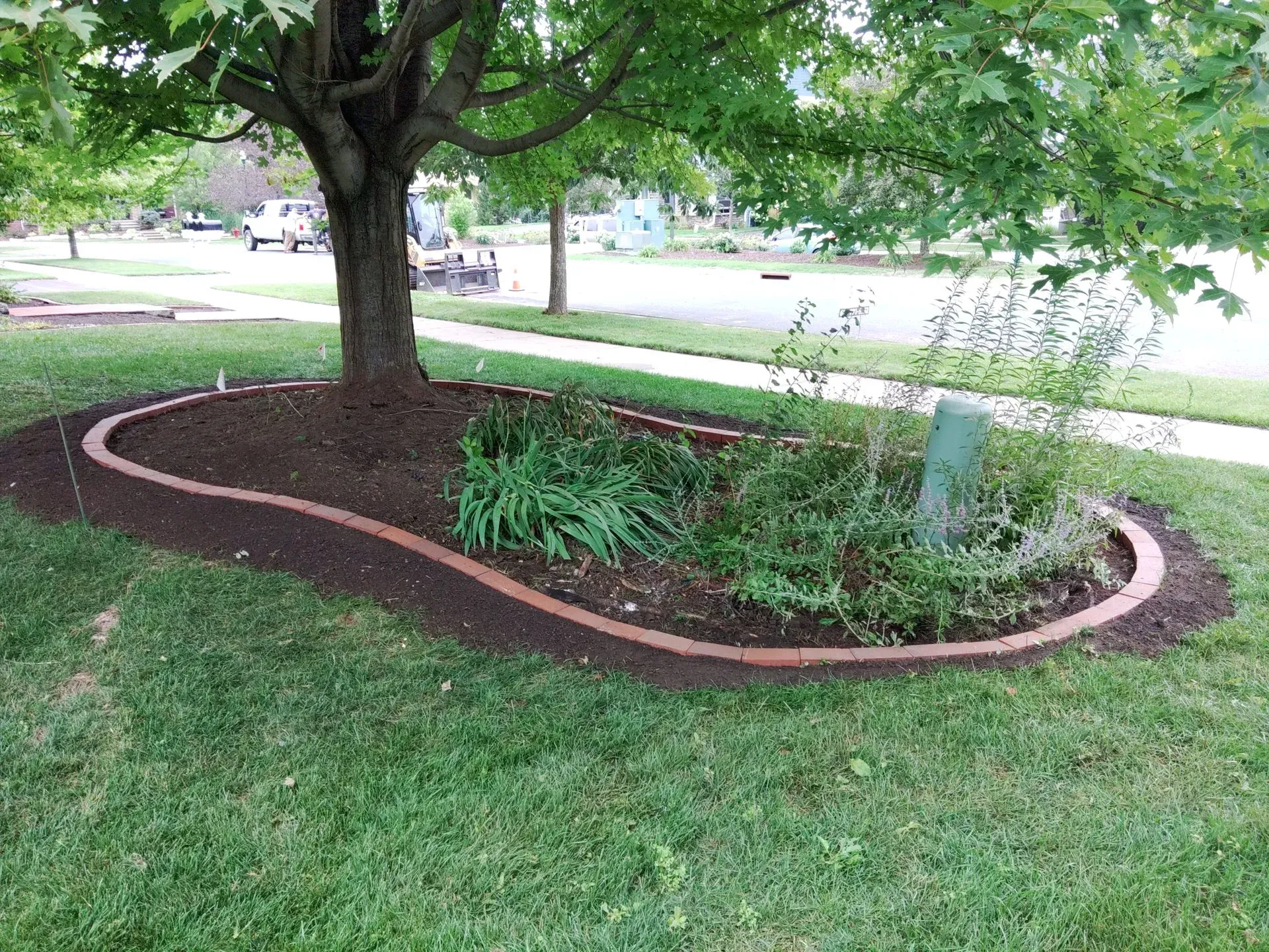 A tree with a mulched bed bordered by reddish brick, surrounded by green grass.