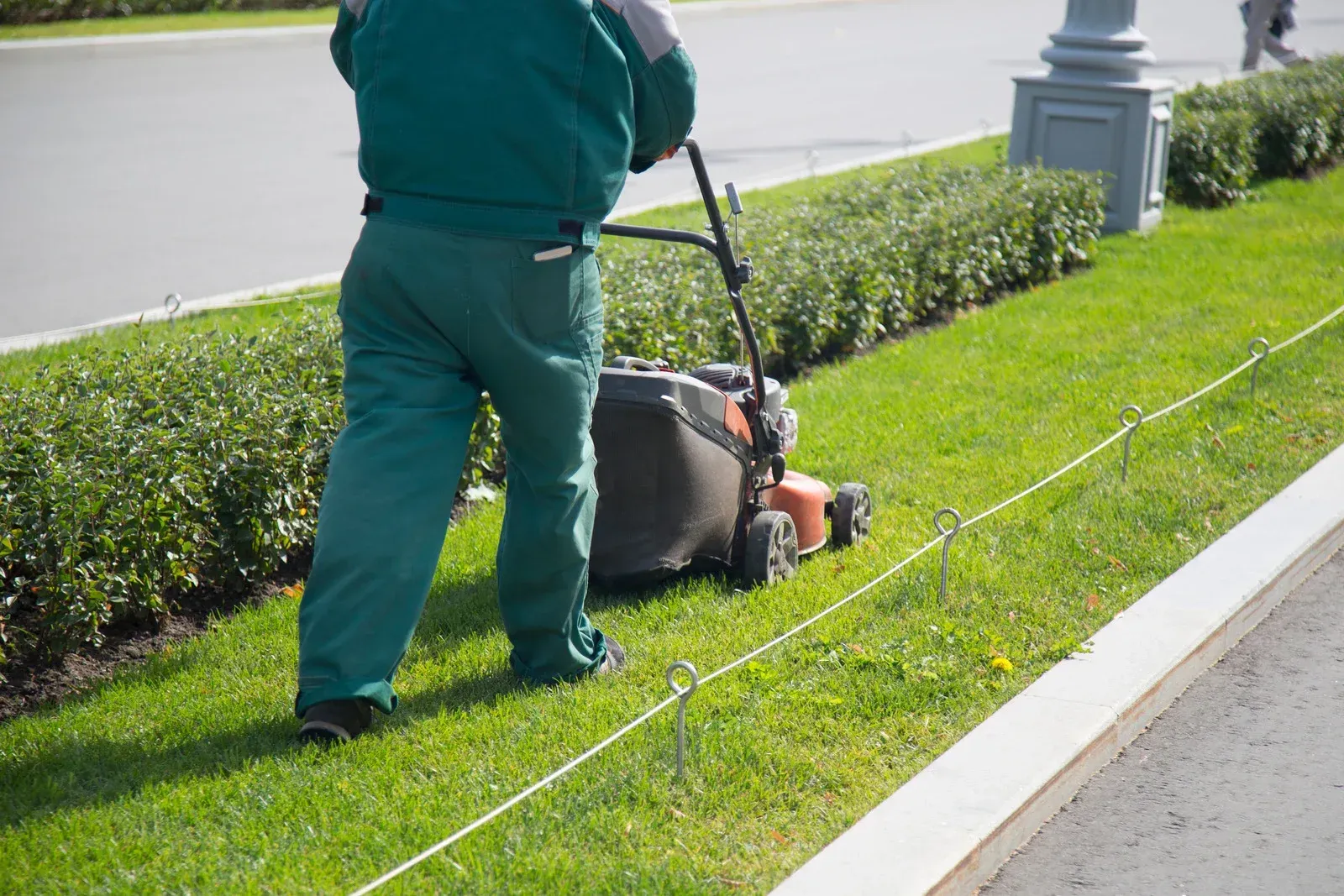 Person in gloves uses a gas-powered hedge trimmer to trim a green shrub in front of a brick building.