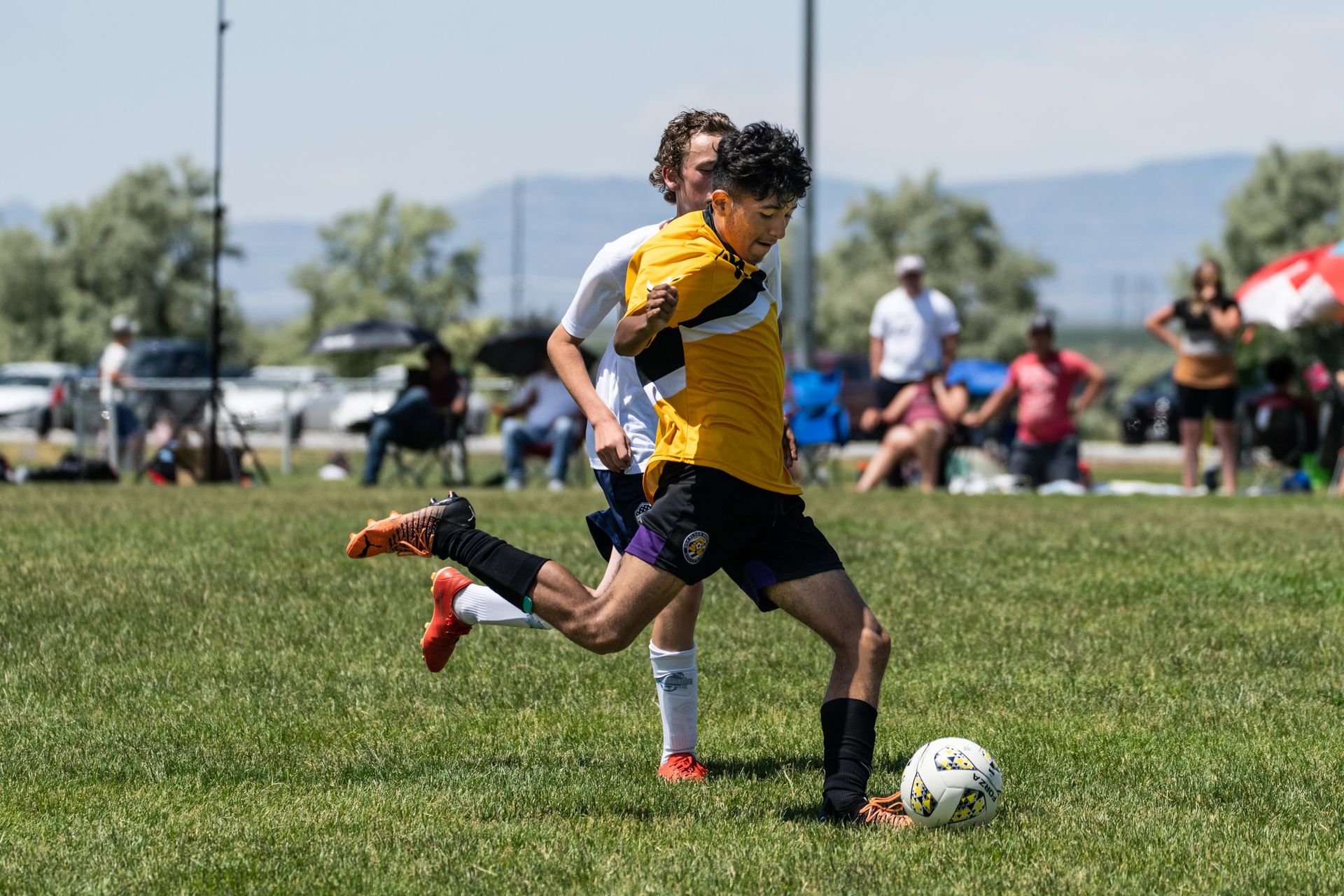 A person wearing a hat and orange shirt, holding a baseball bat on their shoulder on a baseball field.