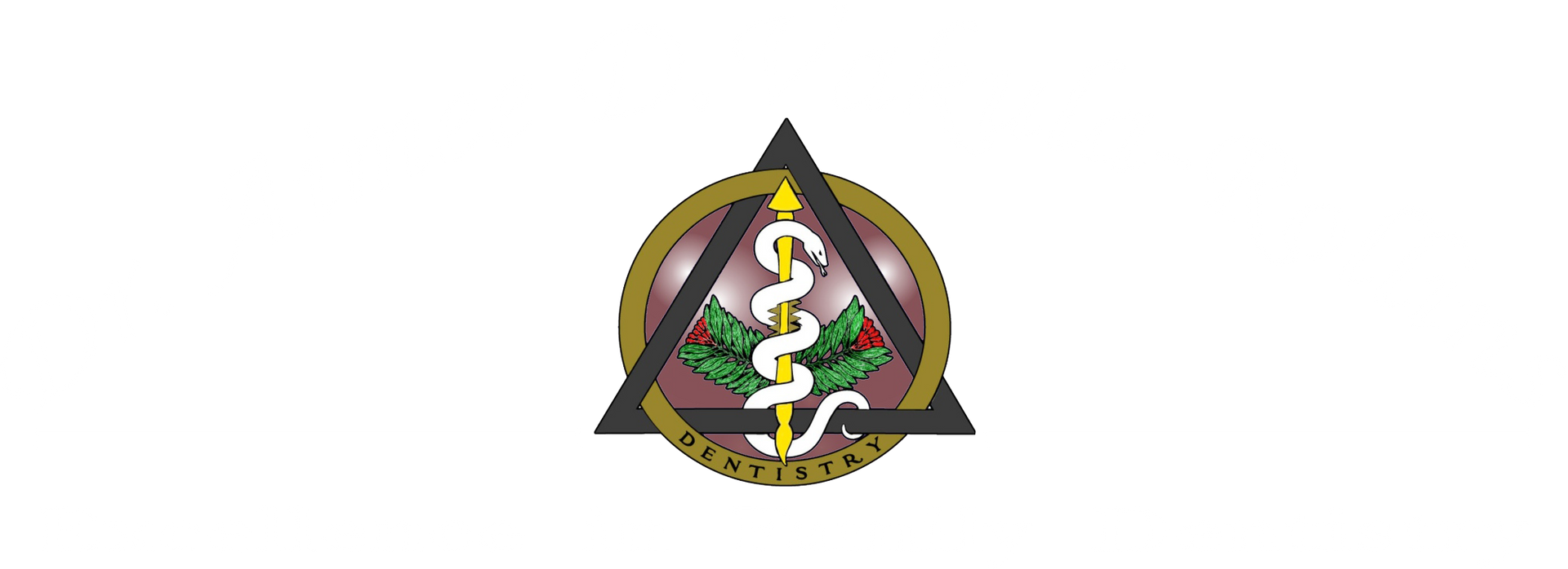 Aimee Vakula Rollins DDS Aimee Vakula Rollins DDS