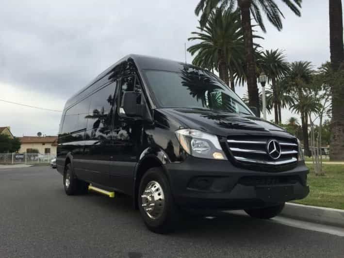A black mercedes van is parked on the side of the road next to palm trees.