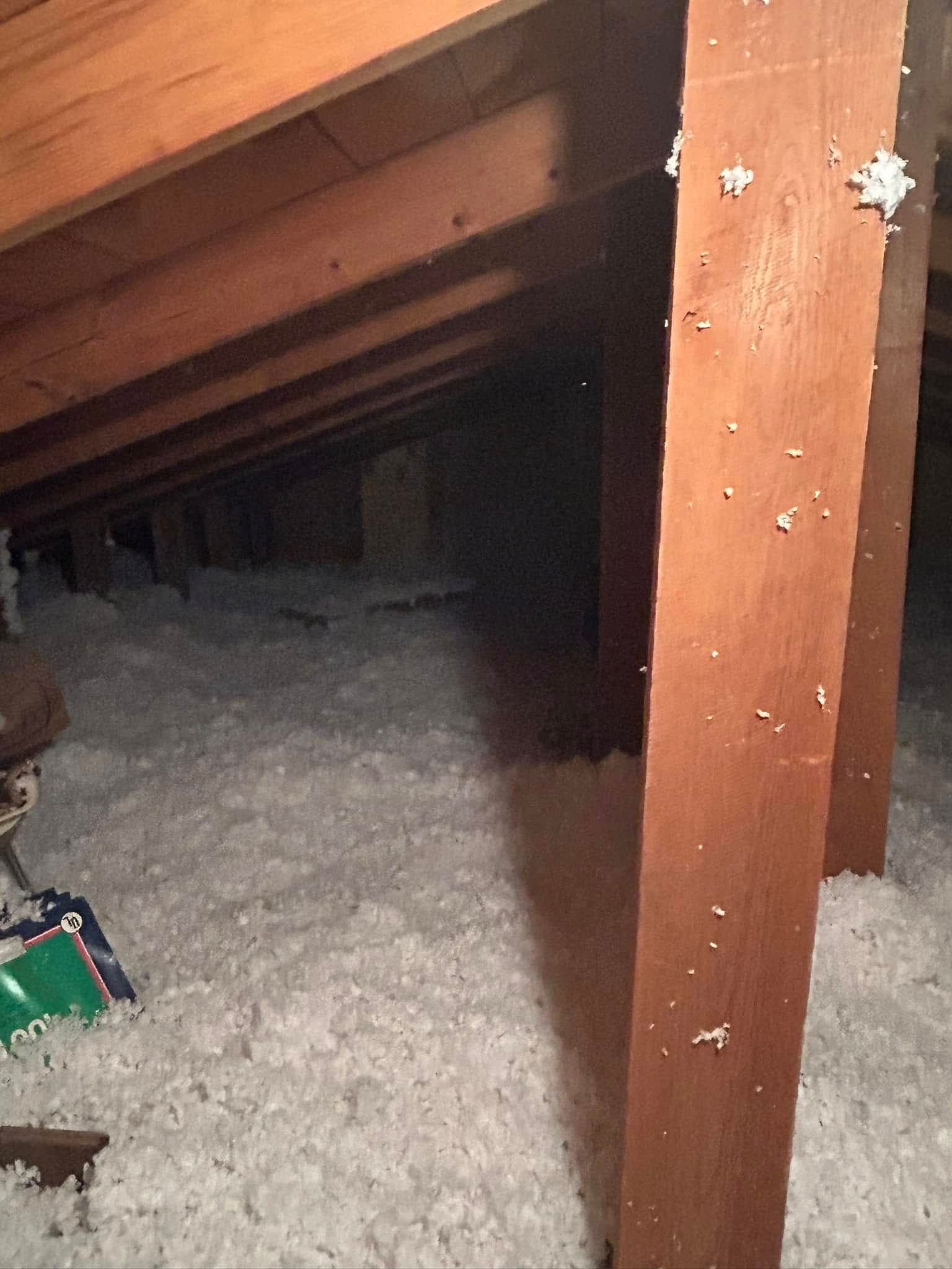 An attic with exposed wooden beams and thick white insulation. A dark space recedes in the background.