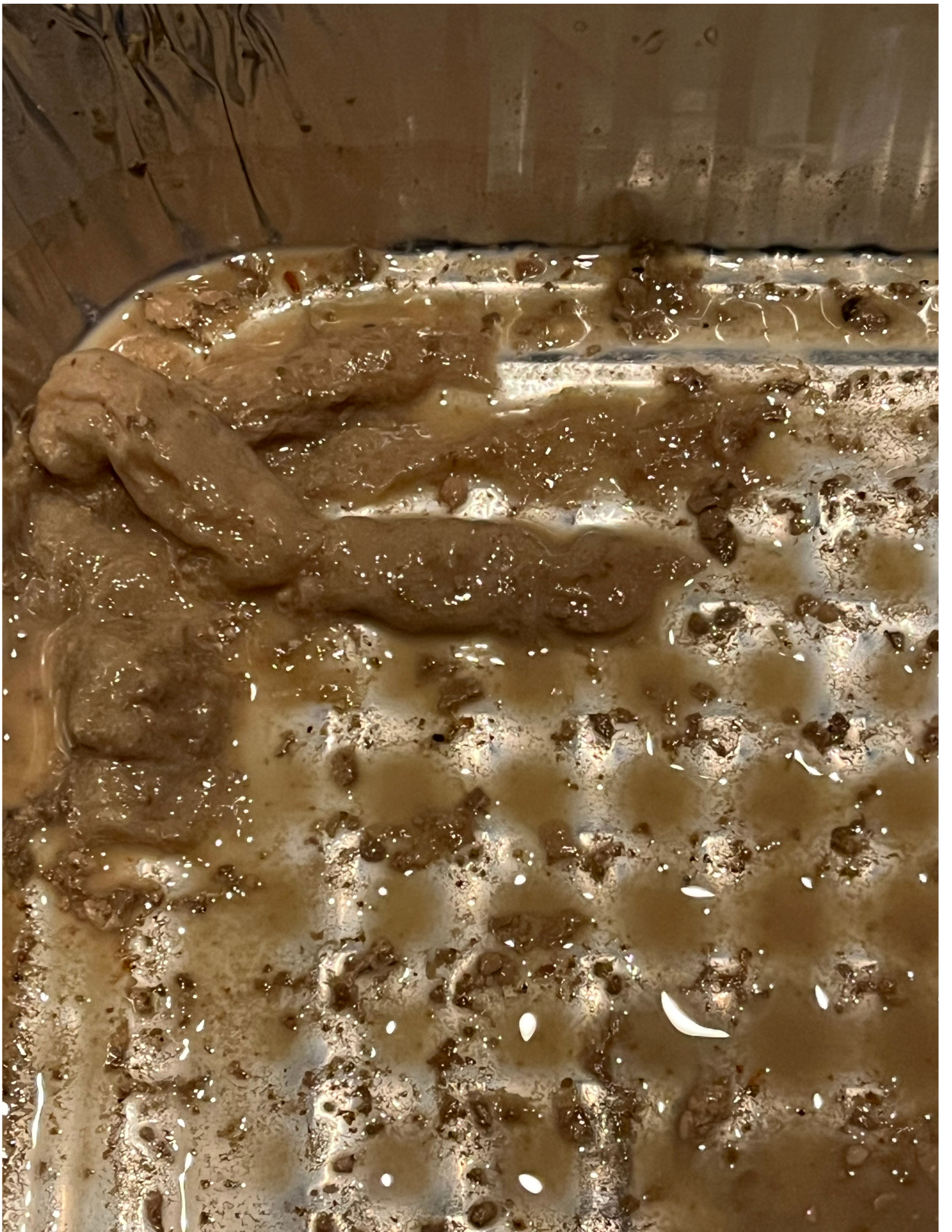 Keg box dispensing drain clog