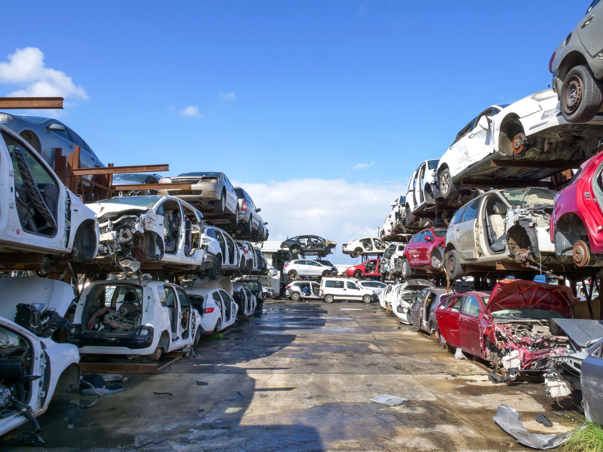 Large salvage car parts and vehicles lot.