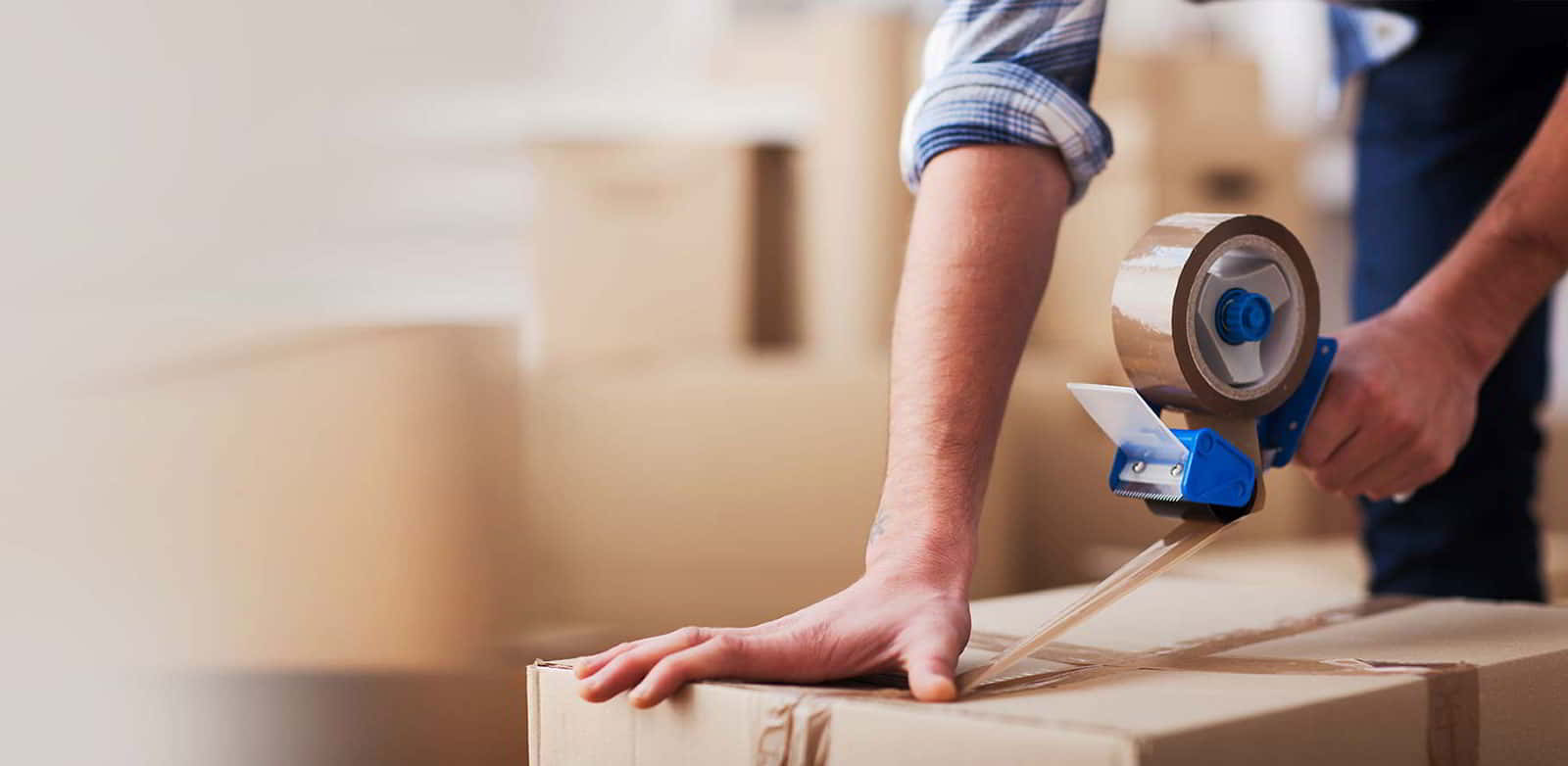 TRANSPORTE TERRESTRE