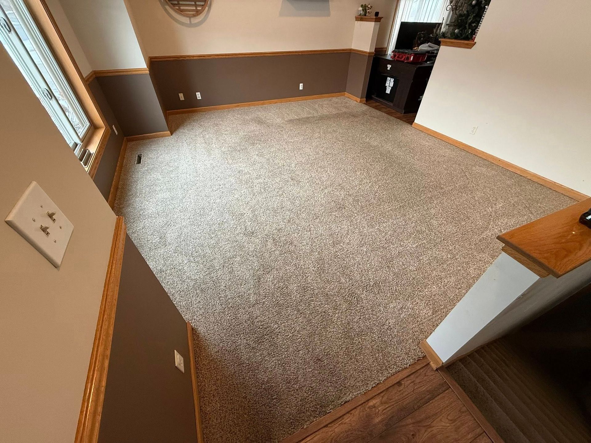 Room with beige carpet, brown wainscoting, and a light-colored wall with a light switch.