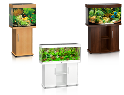 various fish tanks for sale