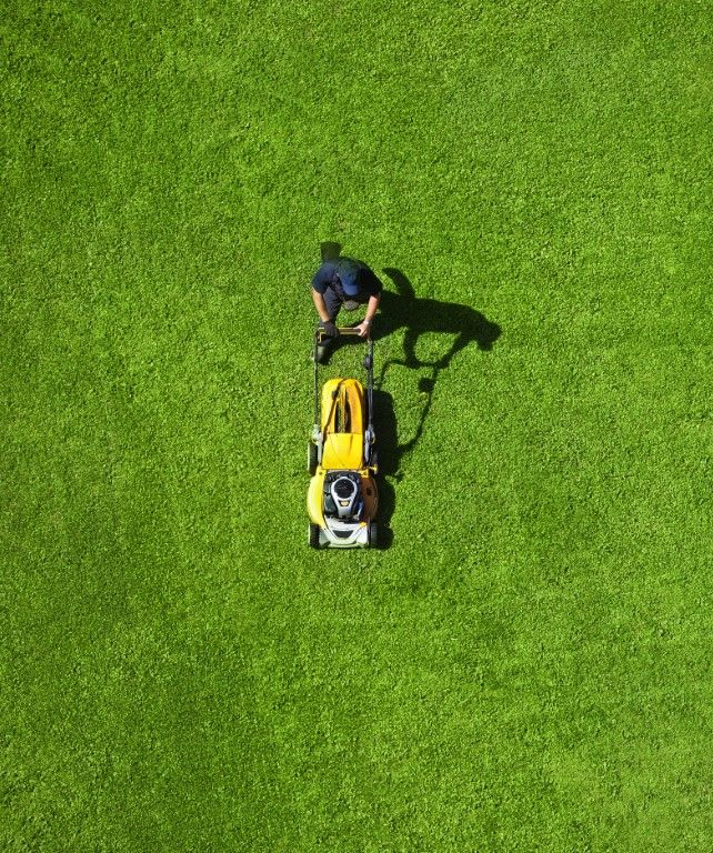 Overhead view of worker mowing lawn for residential lawn care in Zephyrhills FL