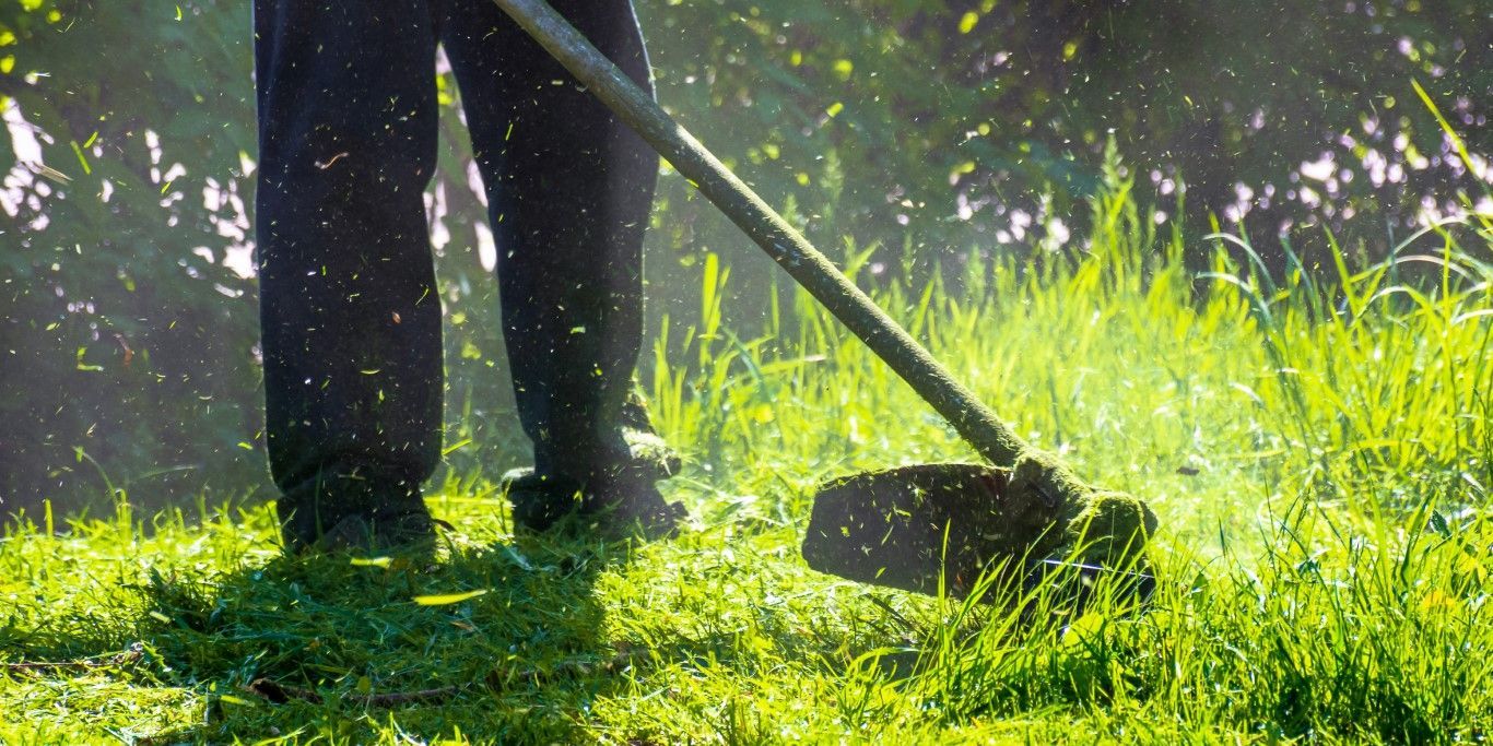 Weed eating overgrown grass - Zephyrhills Mowing in Zephyrhills, FL