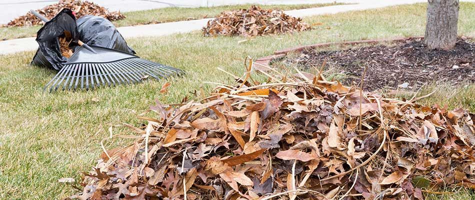 Zephyrhills Mowing piles of leaves for bagging and removal.