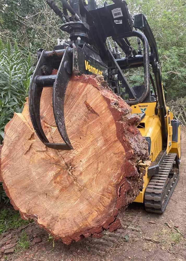Tree stump removal | El Sobrante, CA | Mack Tree Co.